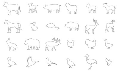 Vector outline icon, animals. Cow, calf, pig, sheep, lamb, goat, horse, rabbit, nutria, boar, deer, roe deer, hare, bear, elk, chicken, turkey, goose, duck, mallard, pheasant, partridge, ostrich, dove © Богдан Салюк