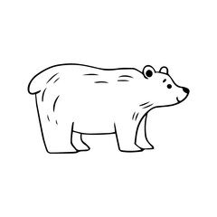 Illustration of a bear in doodle style. Vector isolated on white background.