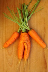 a double carrot that looks like a human