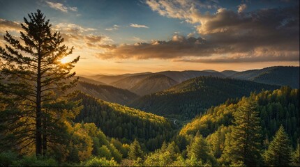 A beautiful mountain range with a tree in the foreground
