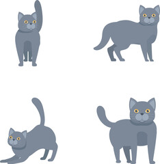 Collection of four adorable gray cartoon cats in various poses on a white background
