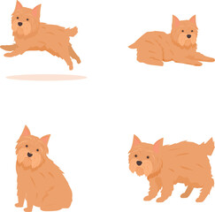 Collection of four cute scottish terrier illustrations, depicting different playful poses