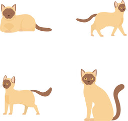 Collection of four cute siamese cat vector illustrations, each showcasing a different pose