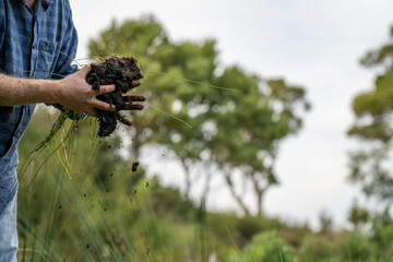 regenerative organic farmer, taking soil samples and looking at plant growth in a farm. practicing sustainable agriculture.