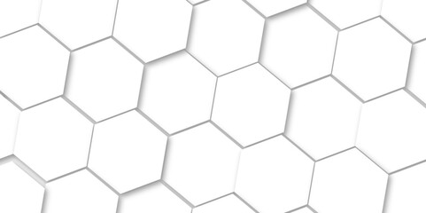 Abstract white hexagonal geometric background with shadow. Luxury White 3D futuristic honeycomb mosaic white background. Abstract white lines background. Vector Illustration.