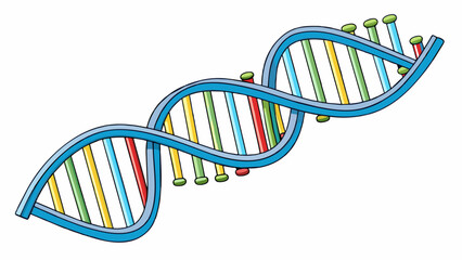 Double helix DNA This molecule is composed of two intertwined strands creating a twisted ladder shape. Each strand contains genetic information and. Cartoon Vector.