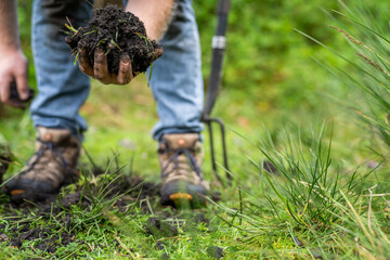 farmer wearing blue shirt and jeans, farmer holding soil, doing soil tests in a home laboratory. Looking at soil life and health