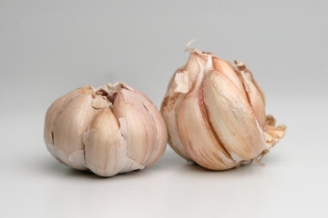 garlic on a white background