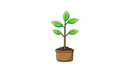 The newly planted seedling had small delicate leaves and a slender stem hence it required frequent watering and gentle care to thrive.. Cartoon Vector.