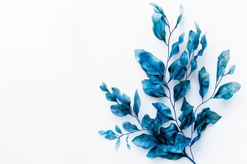 blue algae, leaves on white background, space for text