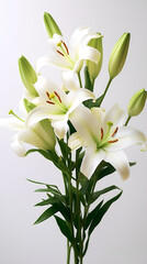 Elegant White Lilies: A Portrait of Grace and Beauty in Bloom