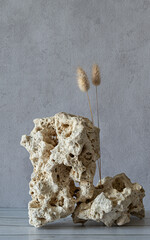 Dried stems of fluffy lagurus in hole white stones on wooden desk on grey background.