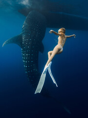 Whale shark and sexy woman with fins in blue sea. Shark underwater and beautiful lady