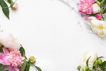 White and pink peonies on a white background. Beautiful fresh flowers. Top view. Space for text.