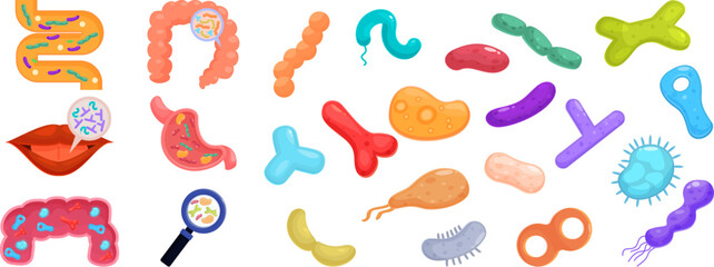 Lactobacilli icons set vector. A collection of cartoonish drawings of various body parts and germs. Scene is lighthearted and playful, with the various shapes and colors of the drawings creating a