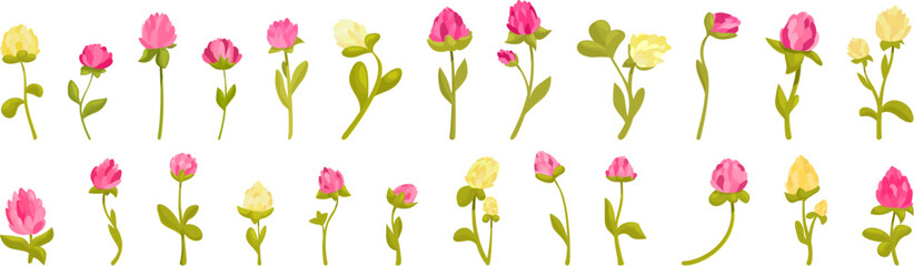 Clover bloom icons set vector. A row of flowers with some yellow flowers in the middle