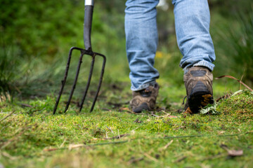 regenerative organic farmer, taking soil samples and looking at plant growth in a farm. practicing sustainable agriculture