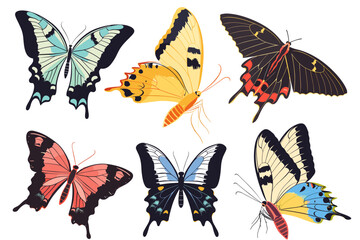 Set of tropical butterflies with colorful wings. Collection of Gorgeous exotic moth or insects, top view. Cute cartoon tropical butterflies isolated
