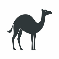 Camel silhouette Isolated white background