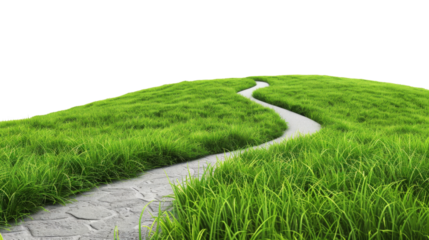 Green grass outdoor field landscape with roadway