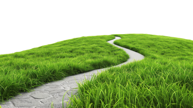 Green grass outdoor field landscape with roadway