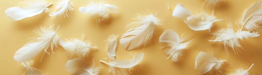 Obraz premium Abstract image of white feathers on a yellow background.
