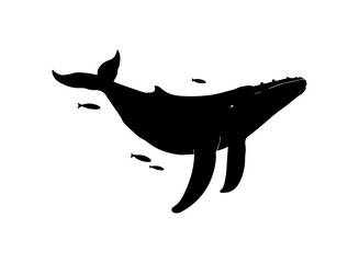 Blue whale silhouette, Whale silhouette, Blue whale icon set, Whale clipart.