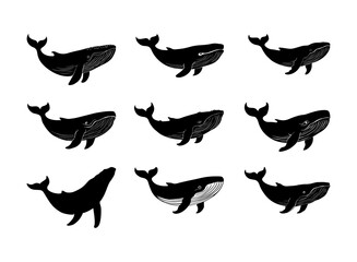 Obraz premium Blue whale silhouette, Whale silhouette, Blue whale icon set, Whale clipart.