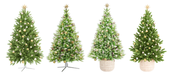 christmas tree isolated on white