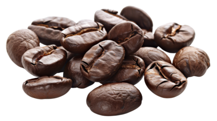 Fresh roasted coffee beans