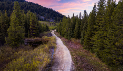 Dirt Road by Vibrant trees in forest with mountains in background. Canadian Nature Landscape. Sunset