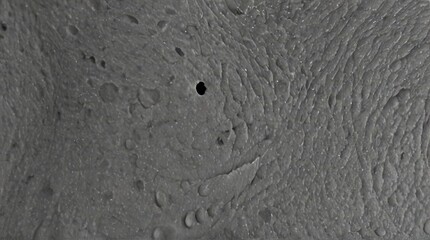 Abstract Gray Texture