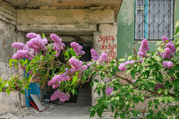 The entrance to a house damaged by artillery shelling.