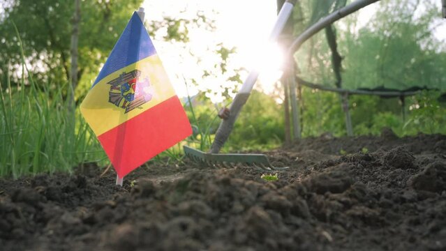 Flag of the Republic of Moldova against the background of a peasant working the land. 