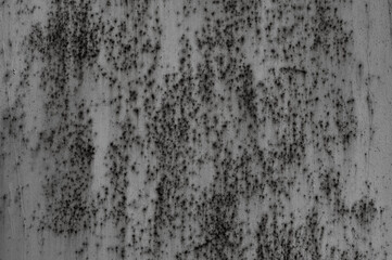 gray texture in the photo of an old iron wall