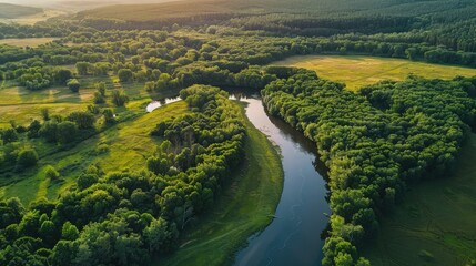 Aerial view of a winding river cutting through lush green summer forest and open fields used for environmental reports.