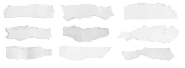 a white piece of paper on an isolated white background
