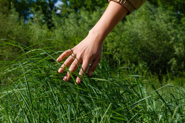 Unity with nature. A woman's hand touches green grass. Ecology, nature and people, Happiness