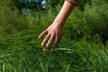 Unity with nature. A woman's hand touches green grass. Ecology, nature and people, Happiness