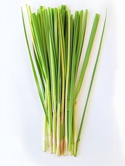 Fototapeta premium Lemongrass Leaves Fresh Slender and Green in