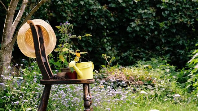 Rickety old chair in English flower garden 
