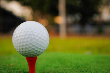 Golf ball set on tee. Dark background.