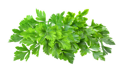 Parsley isolated on white background