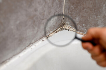 We examine mold under magnifying glass in bathroom on tiles and sealant. Black mold in bathroom,...