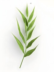 Fototapeta premium Slender Willow Leaf in D Rendering A Fresh Perspective on Green Nature