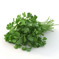 Fototapeta premium Fresh D Rendering of Vibrant Cilantro Leaves on White Background