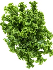 Obraz premium Curly Kale Leaves Vibrant on White Background