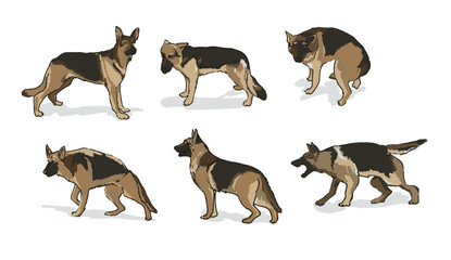 Obraz premium dog behaviours - german shepherd, digitally hand drawn