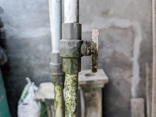 A grey water valve, crafted from durable plastic, seamlessly connects to a white pipe. Over time, it has become home to a subtle layer of moss, adding a touch of nature to its utilitarian design.