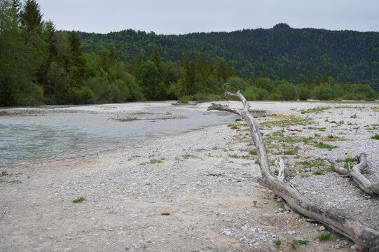 Blick auf das Flussbett der Isar bei Wallgau in Bayern 